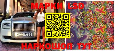 ALPHA PVP Гатчина
