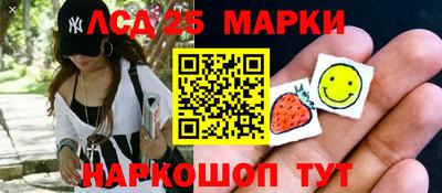 ALPHA PVP Гатчина