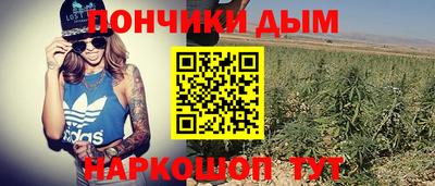 ALPHA PVP Гатчина