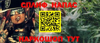 ALPHA PVP Гатчина