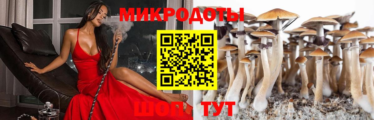 Когалым  Галлюциногенные грибы прущие грибы  Вход с VPN  Галлюциногенные грибы Psilocybine cubensis 